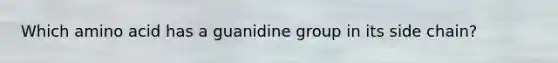 Which amino acid has a guanidine group in its side chain?