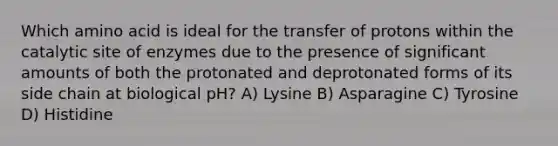 Which amino acid is ideal for the transfer of protons within the catalytic site of enzymes due to the presence of significant amounts of both the protonated and deprotonated forms of its side chain at biological pH? A) Lysine B) Asparagine C) Tyrosine D) Histidine