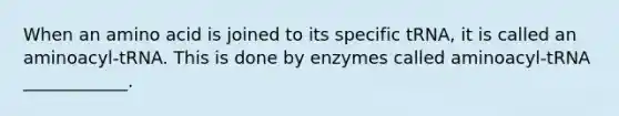 When an amino acid is joined to its specific tRNA, it is called an aminoacyl-tRNA. This is done by enzymes called aminoacyl-tRNA ____________.