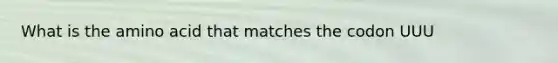 What is the amino acid that matches the codon UUU