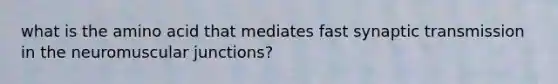 what is the amino acid that mediates fast synaptic transmission in the neuromuscular junctions?