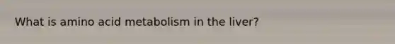 What is amino acid metabolism in the liver?