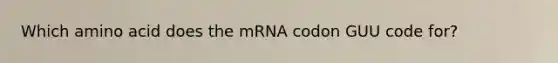 Which amino acid does the mRNA codon GUU code for?