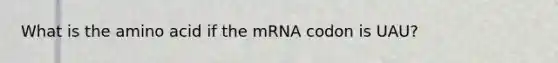 What is the amino acid if the mRNA codon is UAU?