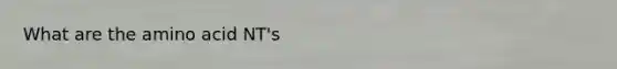 What are the amino acid NT's