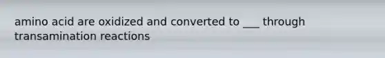 amino acid are oxidized and converted to ___ through transamination reactions