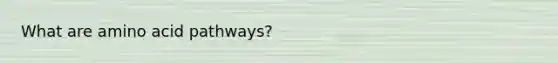 What are amino acid pathways?