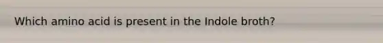 Which amino acid is present in the Indole broth?