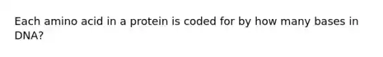 Each amino acid in a protein is coded for by how many bases in DNA?