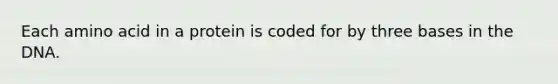Each amino acid in a protein is coded for by three bases in the DNA.