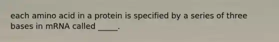 each amino acid in a protein is specified by a series of three bases in mRNA called _____.
