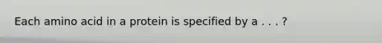 Each amino acid in a protein is specified by a . . . ?