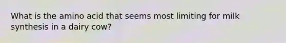 What is the amino acid that seems most limiting for milk synthesis in a dairy cow?