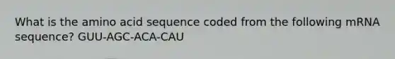 What is the amino acid sequence coded from the following mRNA sequence? GUU-AGC-ACA-CAU