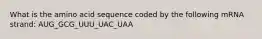 What is the amino acid sequence coded by the following mRNA strand: AUG_GCG_UUU_UAC_UAA