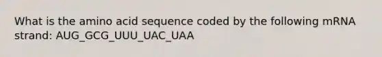 What is the amino acid sequence coded by the following mRNA strand: AUG_GCG_UUU_UAC_UAA