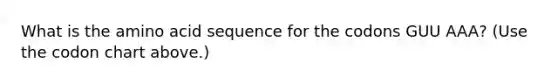 What is the amino acid sequence for the codons GUU AAA? (Use the codon chart above.)