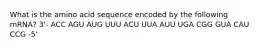 What is the amino acid sequence encoded by the following mRNA? 3'- ACC AGU AUG UUU ACU UUA AUU UGA CGG GUA CAU CCG -5'