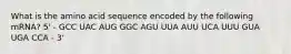 What is the amino acid sequence encoded by the following mRNA? 5' - GCC UAC AUG GGC AGU UUA AUU UCA UUU GUA UGA CCA - 3'