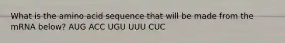 What is the amino acid sequence that will be made from the mRNA below? AUG ACC UGU UUU CUC