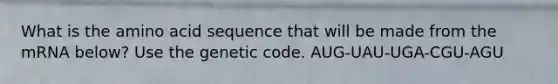 What is the amino acid sequence that will be made from the mRNA below? Use the genetic code. AUG-UAU-UGA-CGU-AGU