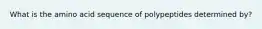 What is the amino acid sequence of polypeptides determined by?