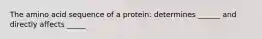 The amino acid sequence of a protein: determines ______ and directly affects _____