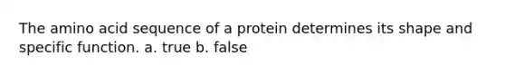 The amino acid sequence of a protein determines its shape and specific function. a. true b. false