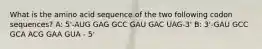 What is the amino acid sequence of the two following codon sequences? A: 5'-AUG GAG GCC GAU GAC UAG-3' B: 3'-GAU GCC GCA ACG GAA GUA - 5'