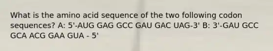 What is the amino acid sequence of the two following codon sequences? A: 5'-AUG GAG GCC GAU GAC UAG-3' B: 3'-GAU GCC GCA ACG GAA GUA - 5'