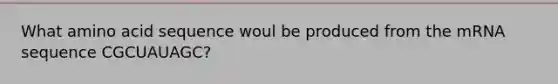 What amino acid sequence woul be produced from the mRNA sequence CGCUAUAGC?