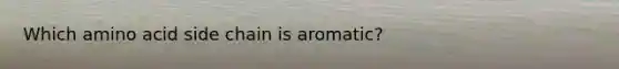 Which amino acid side chain is aromatic?