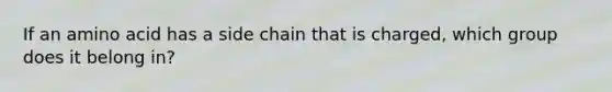 If an amino acid has a side chain that is charged, which group does it belong in?