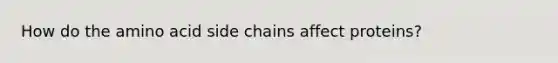 How do the amino acid side chains affect proteins?