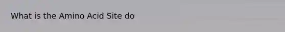 What is the Amino Acid Site do