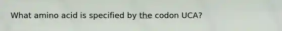 What amino acid is specified by the codon UCA?