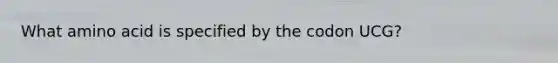 What amino acid is specified by the codon UCG?