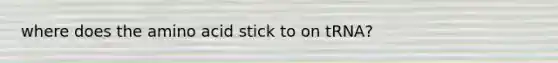 where does the amino acid stick to on tRNA?