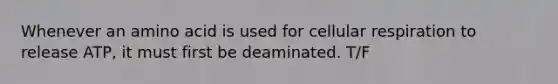 Whenever an amino acid is used for cellular respiration to release ATP, it must first be deaminated. T/F