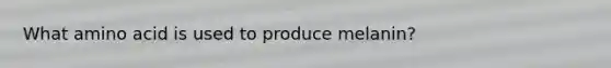What amino acid is used to produce melanin?