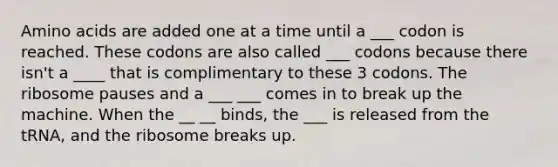 Amino acids are added one at a time until a ___ codon is reached. These codons are also called ___ codons because there isn't a ____ that is complimentary to these 3 codons. The ribosome pauses and a ___ ___ comes in to break up the machine. When the __ __ binds, the ___ is released from the tRNA, and the ribosome breaks up.