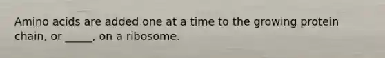 Amino acids are added one at a time to the growing protein chain, or _____, on a ribosome.