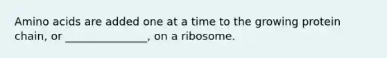 Amino acids are added one at a time to the growing protein chain, or _______________, on a ribosome.