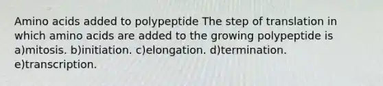 Amino acids added to polypeptide The step of translation in which amino acids are added to the growing polypeptide is a)mitosis. b)initiation. c)elongation. d)termination. e)transcription.