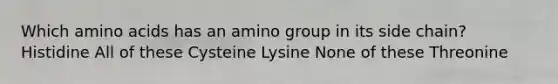 Which <a href='https://www.questionai.com/knowledge/k9gb720LCl-amino-acids' class='anchor-knowledge'>amino acids</a> has an amino group in its side chain? Histidine All of these Cysteine Lysine None of these Threonine