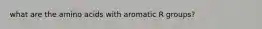 what are the amino acids with aromatic R groups?