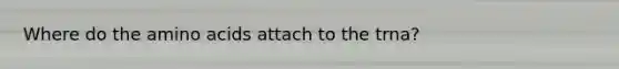 Where do the amino acids attach to the trna?