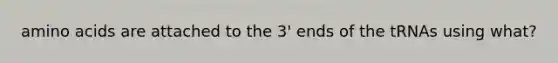 amino acids are attached to the 3' ends of the tRNAs using what?