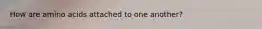 How are amino acids attached to one another?