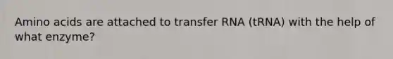 Amino acids are attached to transfer RNA (tRNA) with the help of what enzyme?